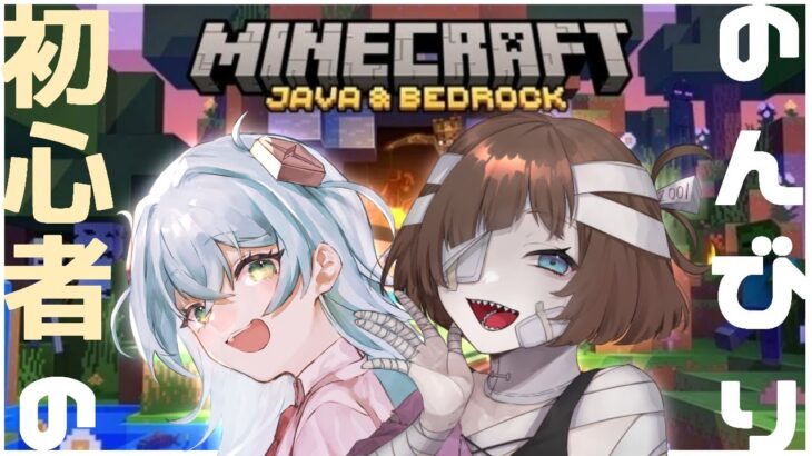 【Minecraft】建築をがんばりたい！家が欲しい！　マイクラ初心者配信🔰#4【かろらぼ】