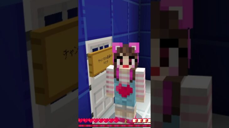 人気キャラクターに会えるトビラを開けてみたら…？【マイクラ / マイクラ / Minecraft】【たまちゃん】#Shorts