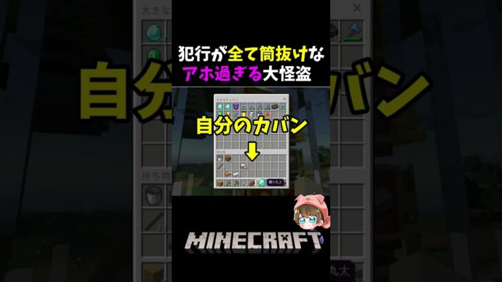 【Minecraft】悪行がバレて家を襲撃される大怪盗w #shorts