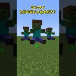 本当は怖い経験値【マイクラ】【ゆっくり実況】#Shorts