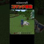 【マイクラ】失敗コマンド事故 [ 新execute雷魔法 Minecraft マインクラフト ] #shorts #マイクラ #マイクラコマンド #マイクラ統合版