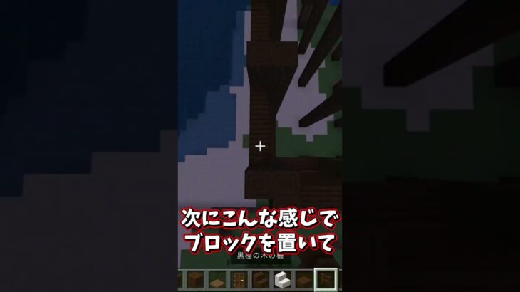 木と石で作る簡単オシャレな家！# #統合版 #マインクラフト #shorts #マイクラ #ショート動画 #紹介