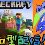 【マイクラ参加型配信】明けましておめでとうございます！クリエイティブで建築します！【マインクラフト】【視聴者参加型】