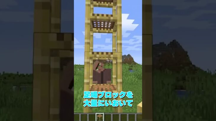 村人を助けようとした結果ｗｗｗｗ【マイクラ・マインクラフト】