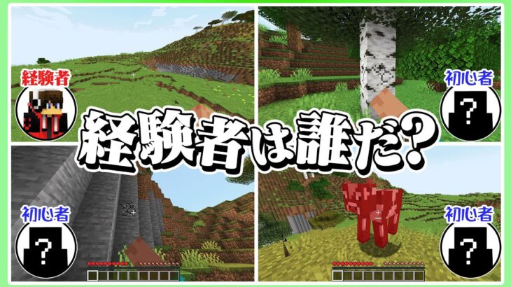 マイクラ初心者に紛れている経験者を見抜け！！