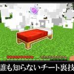 【衝撃】マイクラ統合版の隠されたバグ裏技＆小ネタ１０選