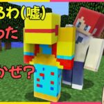 自分だけサボっていつも何してる？【まいくら・マインクラフト】