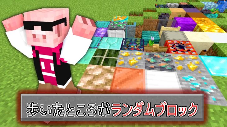 【マイクラ鬼畜】「歩いたところがランダムブロックになる世界」でエンドラ討伐してみた結果…