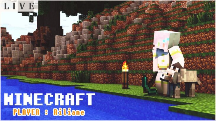 【マイクラ】初のエンドラ討伐に向かう！