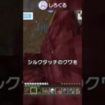 入手が難しすぎるバグ用便利アイテム？！【マイクラ豆知識 解説 裏技】