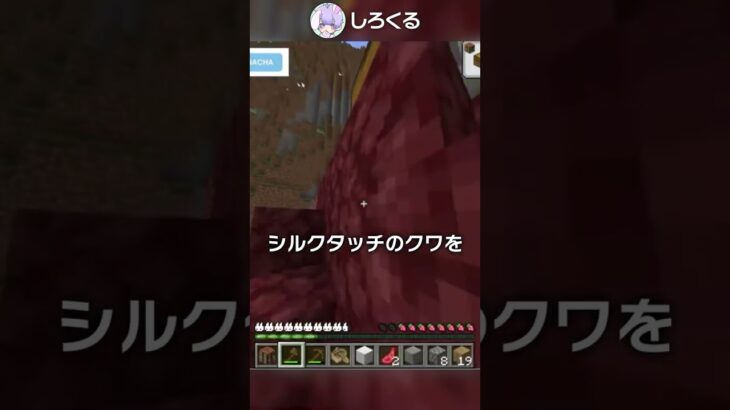 入手が難しすぎるバグ用便利アイテム？！【マイクラ豆知識 解説 裏技】