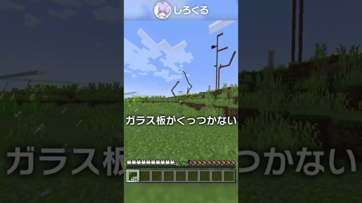 サバイバルで作れる見えない壁？！【マイクラ豆知識 解説 裏技】