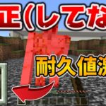 とんでもないものをぶっ壊しまくっていた1.19.60アプデ[マイクラ統合版/1.19.60/Bedrock][Windows/PE/Switch/PS/Xbox]