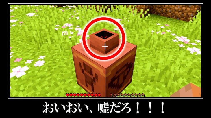 【衝撃映像】マイクラ1.20に追加された新アイテムがバグりすぎてる｜バグ裏技＆小ネタ１０選