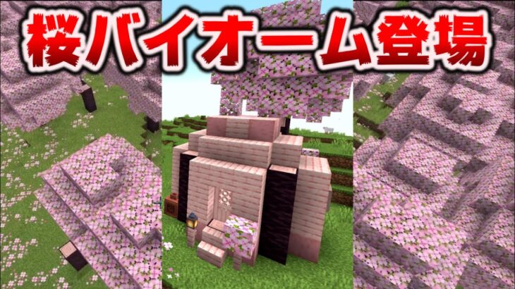 【マイクラ1.20】桜のバイオーム、サクラの木がついに初登場！待ちわびたまらん[Snapshot 23W07A]