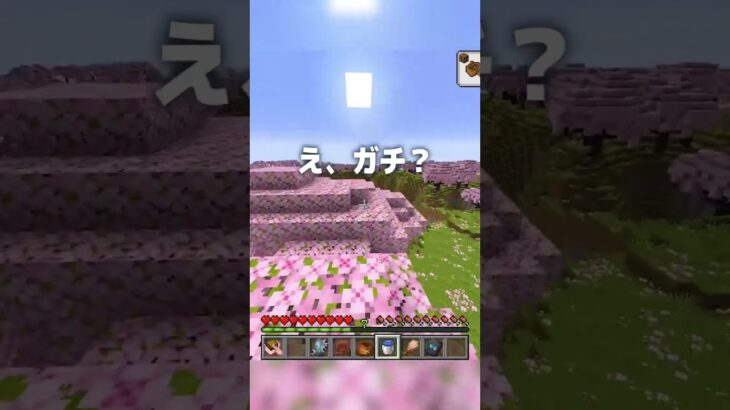 【マイクラ1.20】新バイオームの激レアシード値が凄い！！！！！#shorts