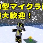 【マイクラ参加型配信】メンバーさんとマイクラの世界でサバイバル！最長18時までの予定※概要欄必見