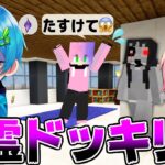 深夜2時のマイクラかくれんぼで『おばけ👻』に変装して隠れるドッキリしたら最恐すぎたwww これは絶対マジでヤバい😱✨【マインクラフト・まいくら】