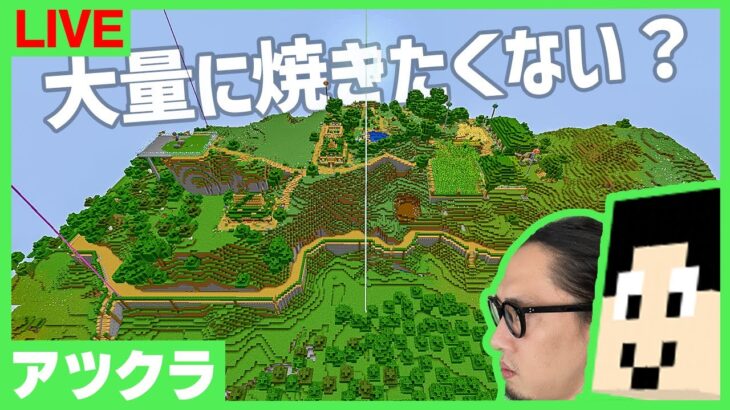 【アツクラ】64連かまど着手→仕分け機作動とかとかとっか【マインクラフト】