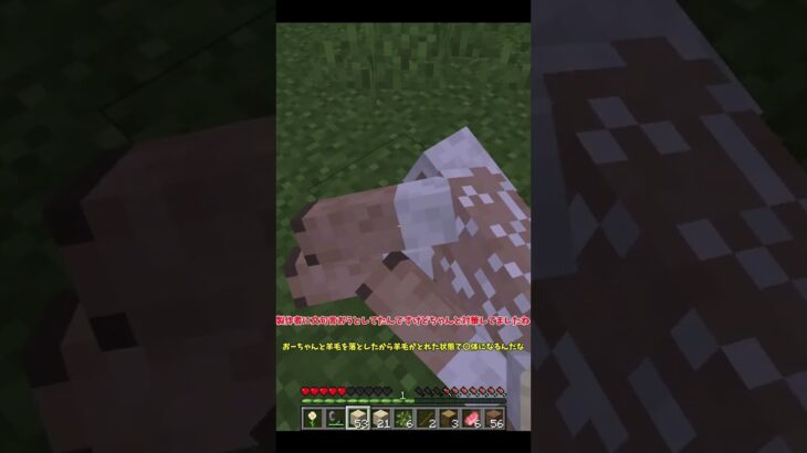 【マイクラ】物理MODやってたらマイクラの闇見つけた件についてｗｗ