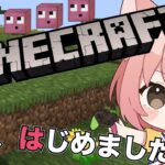 【 Minecraft 】ノープランマイクラ！【 雑談 】【初見さん歓迎】