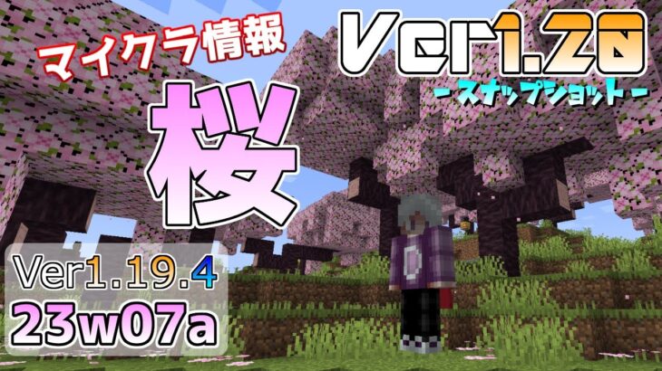 【マイクラ情報】Ver1.19.4 桜バイオームが早くも登場!? Java版マインクラフト・スナップショット 23w07a 今後のアップデート情報