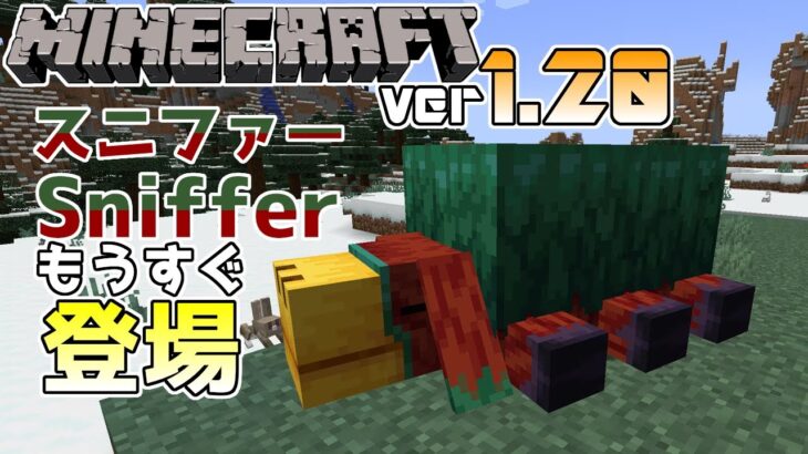 【マイクラ速報】Ver1.20 Sniffer/スニファーがもうすぐスナップショットやプレビュー版に来ます ～最新のアップデート情報～【Switch/Win10/PE/PS4/Xbox/Java】