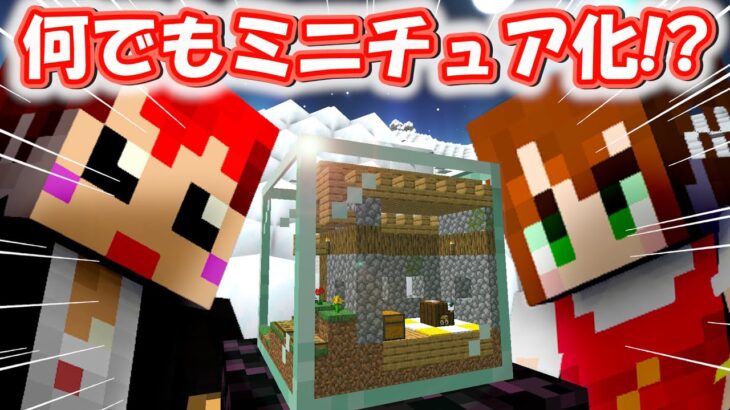 【マイクラ】村もジエンドも海底神殿も!?ミニチュアにしちゃう世界が面白い!!【赤髪のとも/あかがみん/マインクラフト/minecraft】