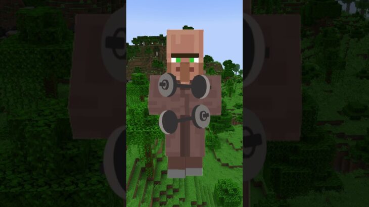 【minecraft/MOD】The villagers have been building up their muscles, he said.😎【rizap】