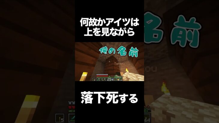 何故かアイツは上を見ながら落下死する【マイクラ】 #shorts