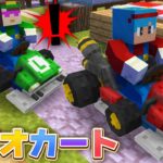 お母さんとマイクラの世界でマリオカート！勝つのはどっちだ？【マイクラ / まいくら / マインクラフト】