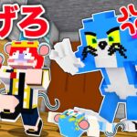 ボス猫からチーズを取り戻せ！『トムとジェリー鬼ごっこ』【まいくら・マインクラフト】