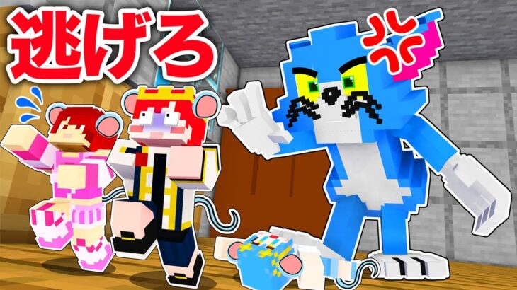 ボス猫からチーズを取り戻せ！『トムとジェリー鬼ごっこ』【まいくら・マインクラフト】