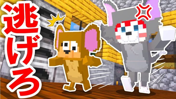 ネズミになって猫から喰われずに逃げろ！『トムとジェリー鬼ごっこ』【マインクラフト・まいくら】