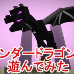 【マイクラ】コマンドで攻撃力を上げてエンダードラゴンと戦うマインクラフト