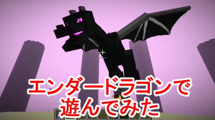 【マイクラ】コマンドで攻撃力を上げてエンダードラゴンと戦うマインクラフト