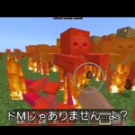 【マインクラフト】危険な危険なコマンド！