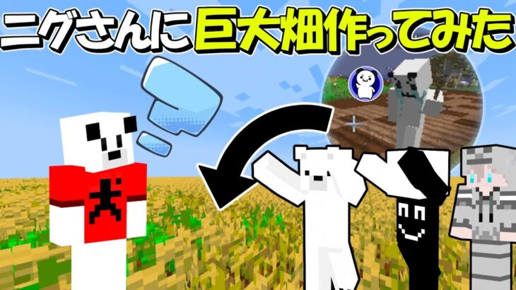 【マイクラ】らるきる働かせてニグさんに巨大畑作ってみたｗｗ【ゆっくり実況】