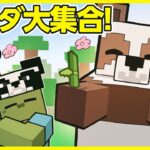 【マイクラアニメ】「ゾンビ、パンダランドを作りたい」の巻