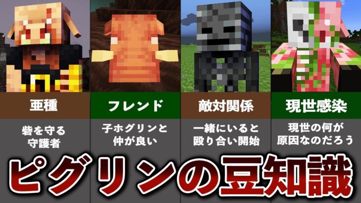 意外と知らないピグリンの豆知識&小ネタ【ゆっくり解説】