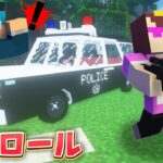 警察官が街をパトロールしてたら不審者発見！現行犯逮捕しろ！【マイクラ / まいくら / マインクラフト】