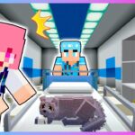 動物病院でペットを助けるマインクラフト😿🏥【マイクラ / まいくら】