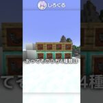 入手が一番難しくて一番使わないアイテム？！！！【マイクラ豆知識 解説 裏技】