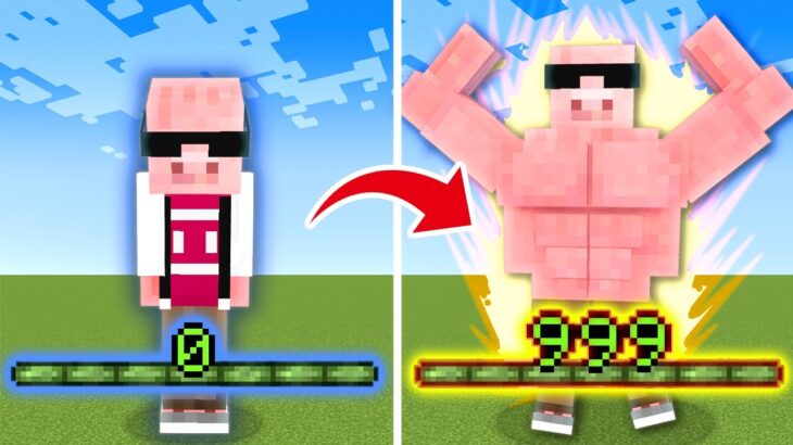 【マイクラ鬼畜】レベルが上がると進化する世界でエンドラ討伐！