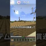 どんなアイテムでも簡単に貫通させる裏技？！【マイクラ豆知識 解説 裏技】