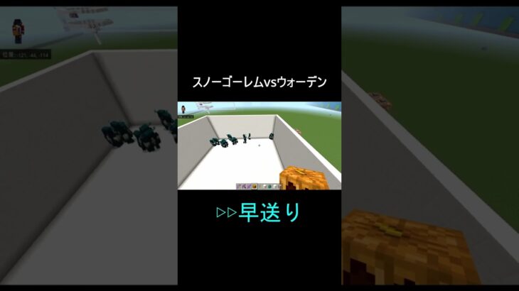 スノーゴーレムvsウォーデン #マイクラ統合版 #minecraft #shorts