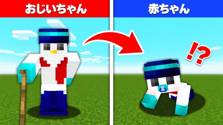 【マイクラ】1週間「若返っていく」世界でサバイバル生活してみた結果！？