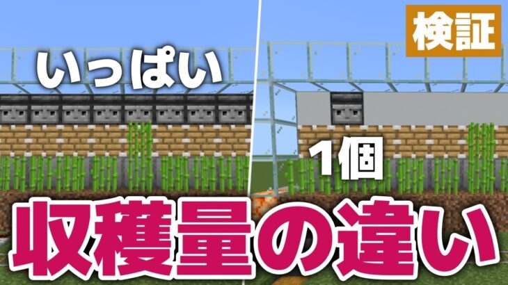 【マイクラ】意外な結果！？観察者はいっぱいあった方がいい？１個でも十分？検証してみました！【マイクラ統合版1.19】