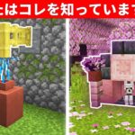 マインクラフト本当にすごい建築アイデア【1.20アップデート】