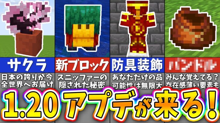 【マイクラ】1.20アップデートの名前がついに決定！もうすぐ来るマイクラ1.20の最新要素まとめ【まいくら・マインクラフト】